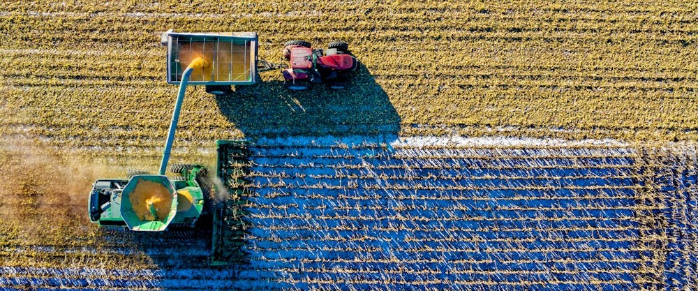 harvest